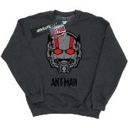 Sweat-shirt Marvel Ant-Man Helmet