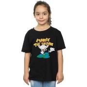 T-shirt enfant Animaniacs World Domination