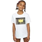 T-shirt enfant Dc Comics BI11202