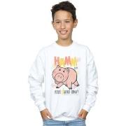 Sweat-shirt enfant Disney Toy Story 4 Hamm The Piggy Bank