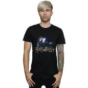 T-shirt Harry Potter BI30219