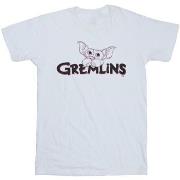T-shirt enfant Gremlins BI19813