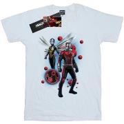 T-shirt Marvel Ant-Man And The Wasp Particle Pose