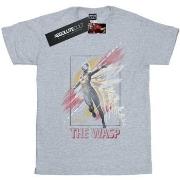 T-shirt Marvel BI11223