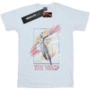 T-shirt Marvel Ant-Man And The Wasp Framed Wasp