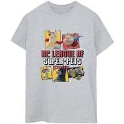 T-shirt Dc Comics DC League Of Super-Pets Profile