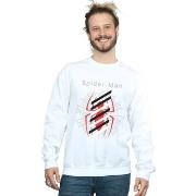 Sweat-shirt Marvel Spider-Man Logo Stripes