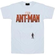 T-shirt enfant Marvel BI6502