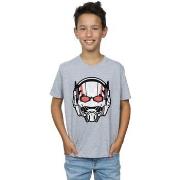 T-shirt enfant Marvel BI6579