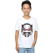 T-shirt enfant Marvel BI6579