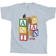 T-shirt enfant Marvel Ant-Man Blocks