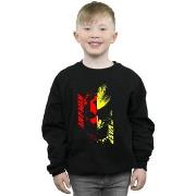 Sweat-shirt enfant Marvel Ant-Man And The Wasp Split Face