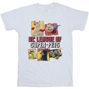 T-shirt Dc Comics DC League Of Super-Pets Profile