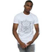 T-shirt Fantastic Beasts BI24884