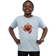 T-shirt enfant Dc Comics BI6769