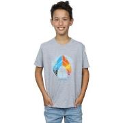 T-shirt enfant Dc Comics Aquaman Tropical Logo