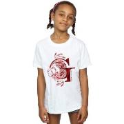 T-shirt enfant Harry Potter Gryffindor Lion