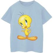 T-shirt enfant Dessins Animés BI25226