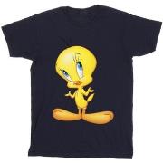 T-shirt enfant Dessins Animés BI25226