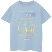 T-shirt enfant Dessins Animés BI25307