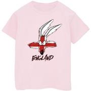 T-shirt enfant Dessins Animés BI25488