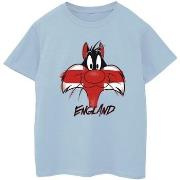 T-shirt enfant Dessins Animés BI25526