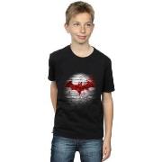 T-shirt enfant Dc Comics BI8815