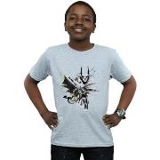 T-shirt enfant Dc Comics BI8861