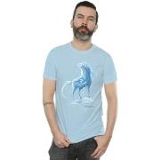 T-shirt Disney Frozen 2 Nokk The Water Spirit