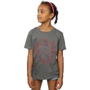 T-shirt enfant Harry Potter Gryffindor Lion Crest