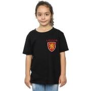 T-shirt enfant Harry Potter BI21546