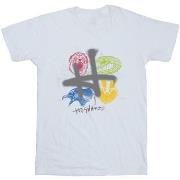 T-shirt enfant Harry Potter Emblems H Spray