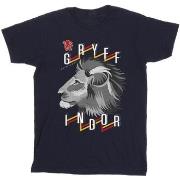 T-shirt enfant Harry Potter Gryffindor