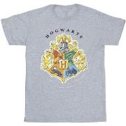 T-shirt enfant Harry Potter Hogwarts