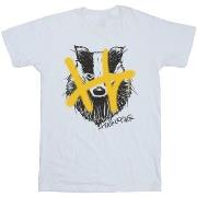 T-shirt enfant Harry Potter Hufflepuff Pop Spray