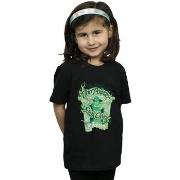 T-shirt enfant Harry Potter BI21327