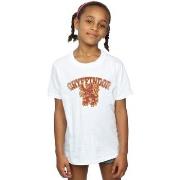 T-shirt enfant Harry Potter BI20575