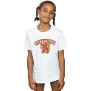 T-shirt enfant Harry Potter Gryffindor Sport Emblem