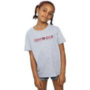 T-shirt enfant Harry Potter Gryffindor Text