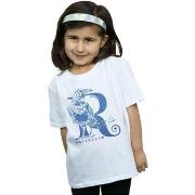 T-shirt enfant Harry Potter BI21283