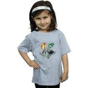 T-shirt enfant Harry Potter BI21285
