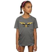 T-shirt enfant Harry Potter Hufflepuff