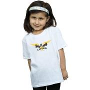 T-shirt enfant Harry Potter Hufflepuff