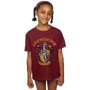 T-shirt enfant Harry Potter BI21613