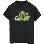 T-shirt Marvel Guardians Of The Galaxy I Am Groot