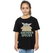 T-shirt enfant Disney The Mandalorian Unknown Species