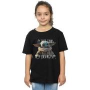 T-shirt enfant Disney The Mandalorian Keep Looking Cute