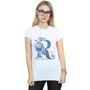 T-shirt Harry Potter BI23541