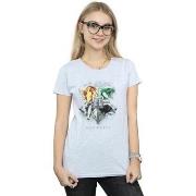 T-shirt Harry Potter Hogwarts