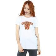 T-shirt Harry Potter Gryffindor Sport Emblem